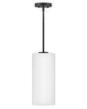 Lark 83377BK-CO - Extra Small Single Light Pendant