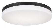 Vinci Lighting Inc. FM1420BK - Flush Mount