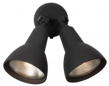 Outdoor Directional Lights