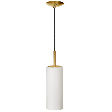 Dainolite 83202-AGB-WH - 1 Light Incandescent Pendant, Aged Brass with White Glass