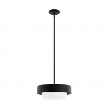  19271 - Hunter Station Natural Black Iron with Frosted Cased White Glass 2 Light Pendant Ceiling Light