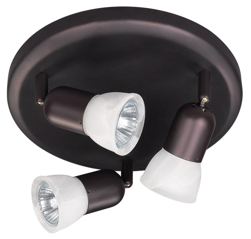 James 1 Light Ceiling Light, Oil Rubbed Bronze Finish