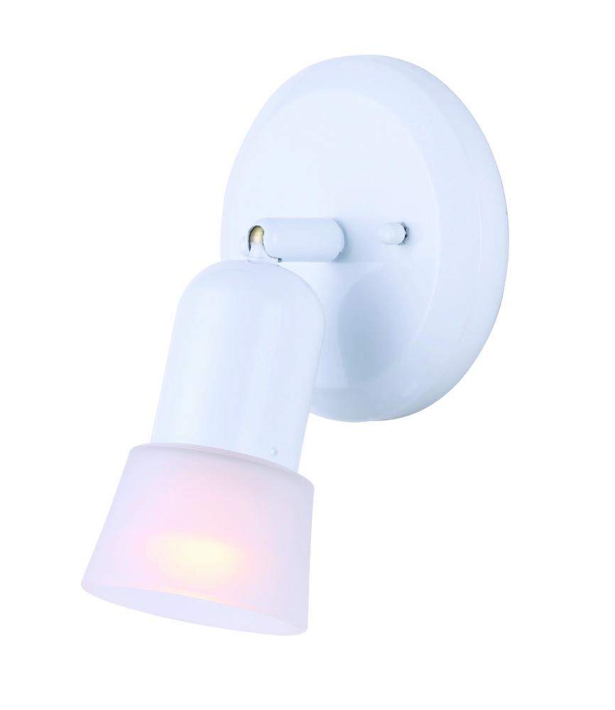 Omni, Single Head Ceiling/Wall, Frosted Glass, 60W A15 or R16