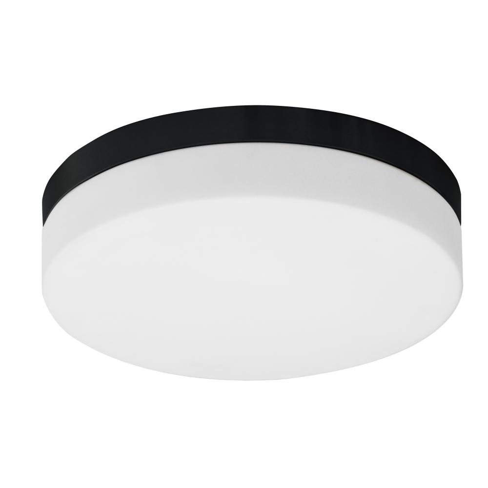 2 Light Flush Mount