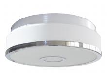 Whitfield FM6029-12CH - 2 Light Flush Mount