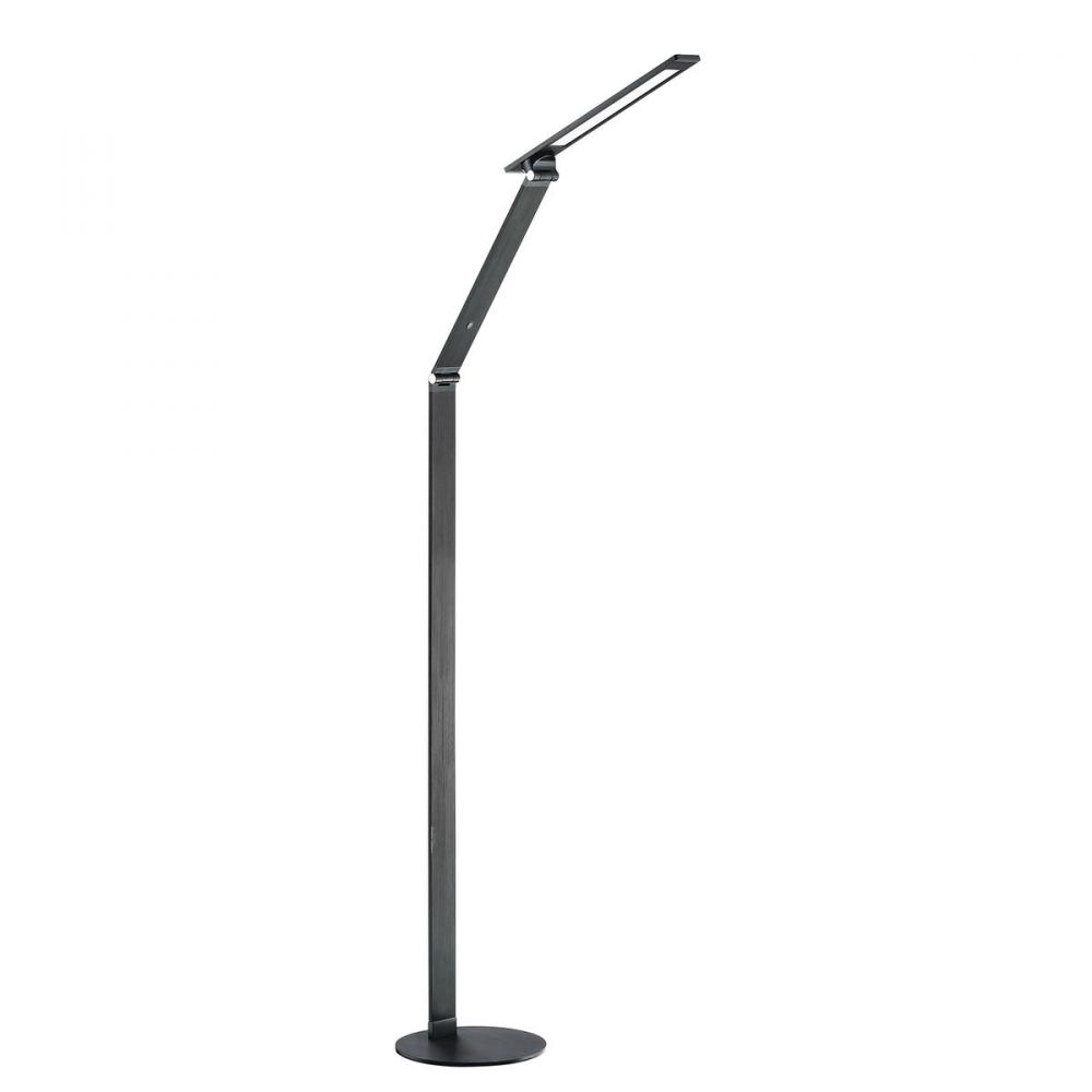 LED FLOOR LAMP