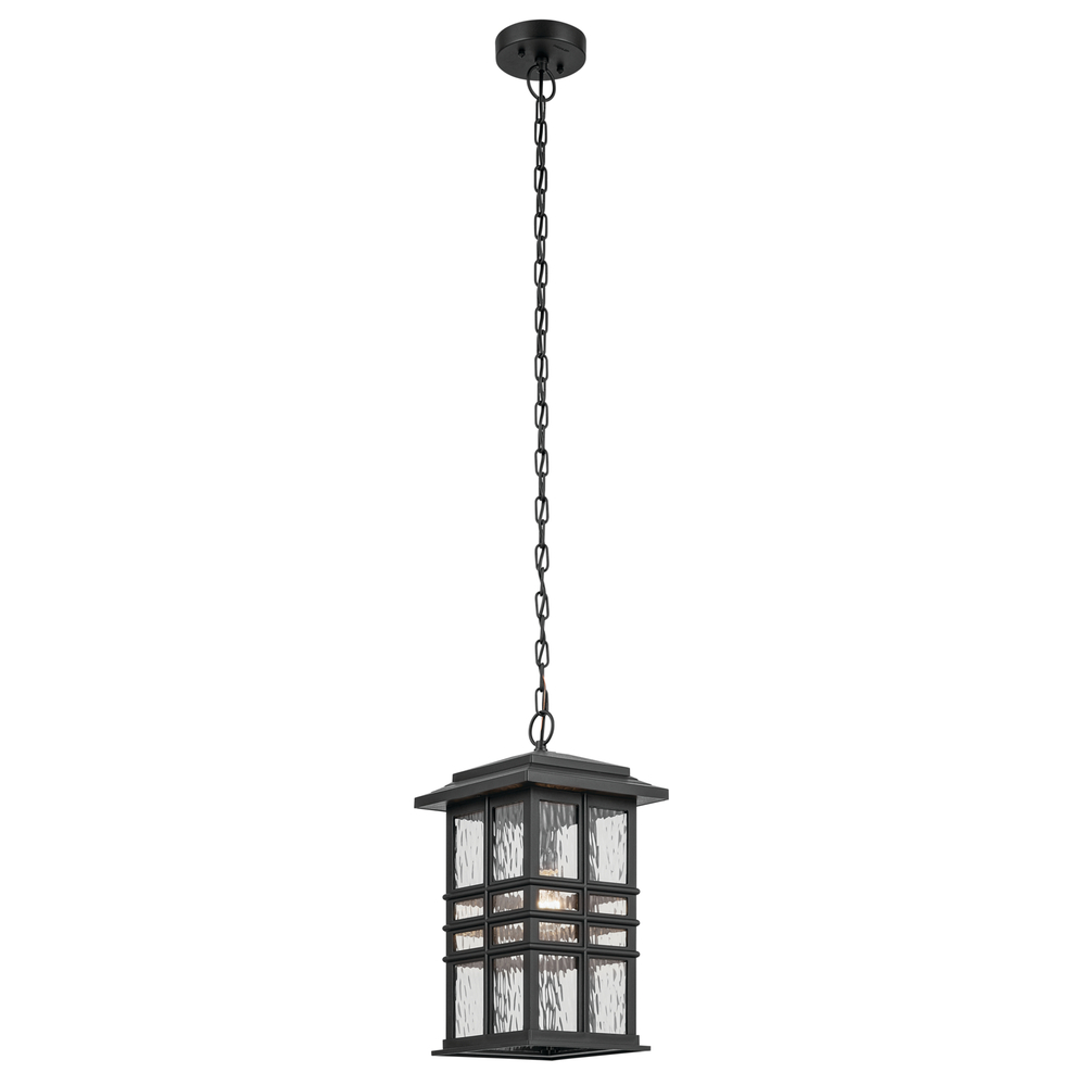 Outdoor Pendant 1Lt