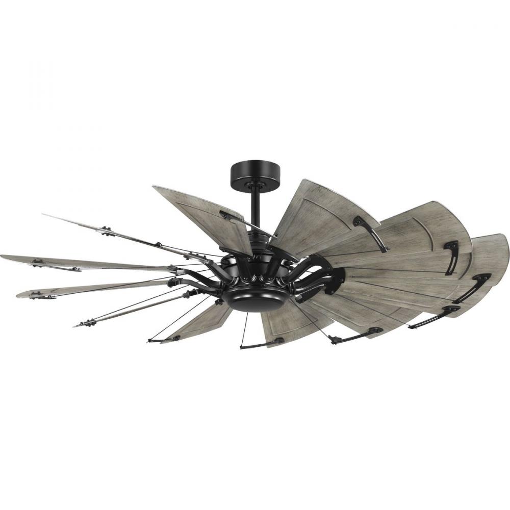 P250098-31M 12-BLADE CEILING FAN