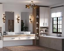 PROG_Laurel_Bathroom_Modern_P350263-204_P710123-204_3D_appshot.jpg