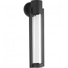 Progress P560056-031-30 - P560056-031-30 1-9W LED WALL LANTERN