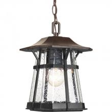 Progress P5579-84 - P5579-84 1-100W MED HANGING LANTERN