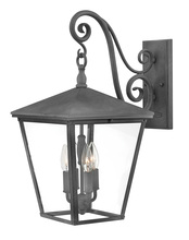 Hinkley Canada 1435DZ-LL - Large Wall Mount Lantern