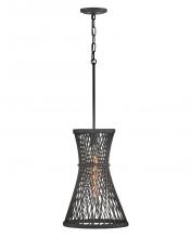 Hinkley Canada 41267BK - Medium Pendant