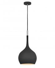 Hinkley Canada 4457BK - Medium Pendant