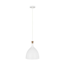 Visual Comfort & Co. Studio Collection EP1071MWT - Darwin Medium Pendant