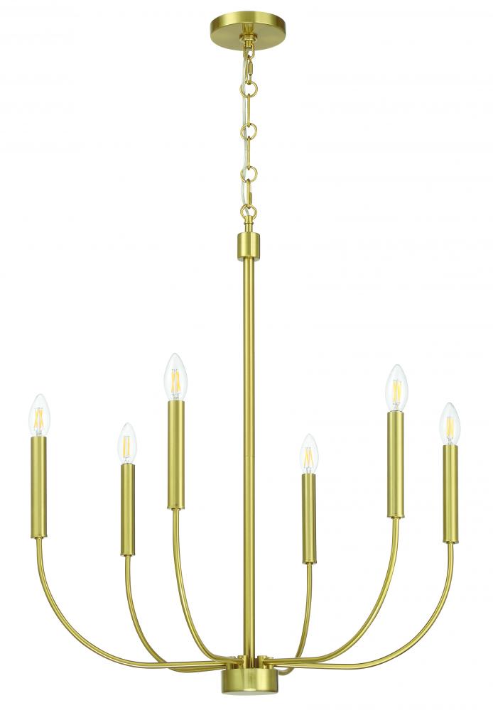 Traci 6 Light Chandelier in Satin Brass